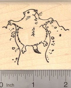 Groundhog Rubber Stamp, Groundhog Day