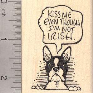 St. Patricks Day Boston Terrier Dog Rubber Stamp: Kiss me even though I'm not Irish