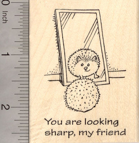 Hedgehog in Mirror Rubber Stamp, You are looking sharp, my friend, Saying