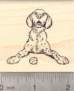 Münsterländer Pointer Dog Rubber Stamp