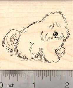 Coton de Tulear Dog Rubber Stamp