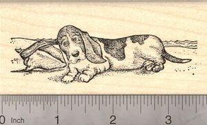 Basset Hound with Sea Shell Rubber Stamp