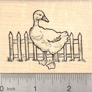 Goose Rubber Stamp, by Picket Fence, AKA Chen or White Geese