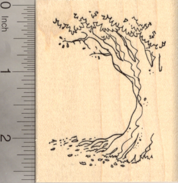 redwood tree rubber stamp Tree Rubber Stamp, shows one side of large tree trunk, great for scene – RubberHedgehog Rubber Stamps