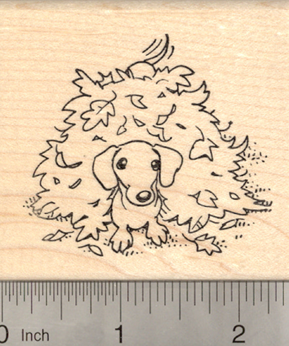 Dachshund Dog Rubber Stamp, in Autumn Leaves, Wiener Doxie
