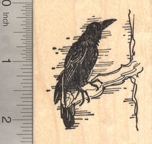 Raven Rubber Stamp, Blackbird, Crow, Bird