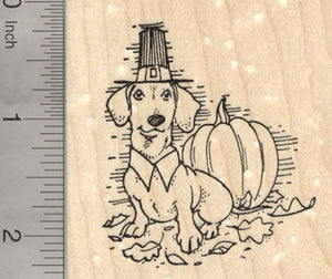 Thanksgiving Dachshund Rubber Stamp, Wiener Dog Pilgrim with Pumpkin