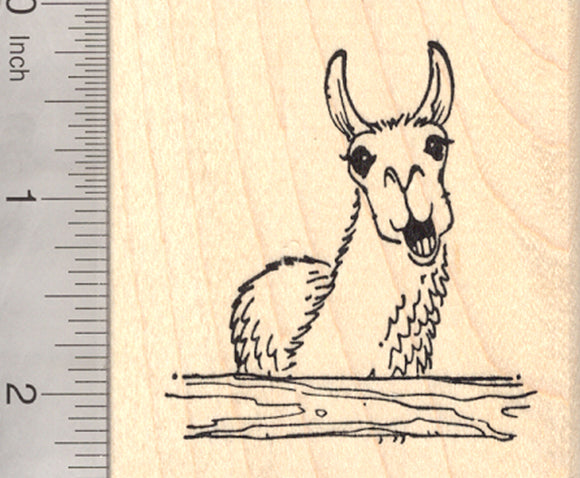 Drama Llama Rubber Stamp, Clucking with Attitude