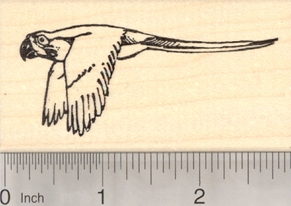 Macaw Bird Rubber Stamp, New World Parrot