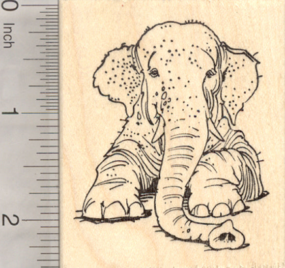 Asian Elephant Rubber Stamp, Laying Down, Endangered Wildlife, India, Sumatra, Asia