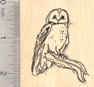 Barn Owl Rubber Stamp, Perched on Branch
