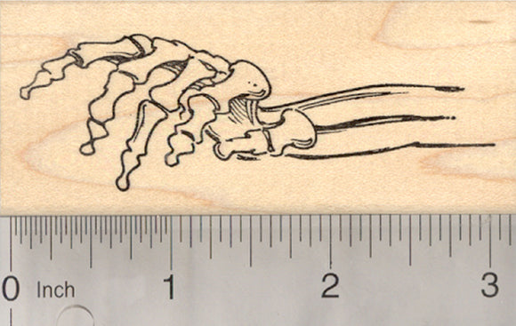 Halloween Skeleton Hand Rubber Stamp, Bony Arm Reaching for You
