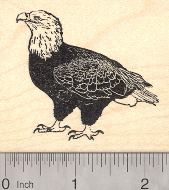 Bald Eagle Rubber Stamp, Raptor, Bird of Prey