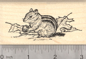 Chipmunk Rubber Stamp, Gathering Acorns in Autumn Leaves, Fall Harvest