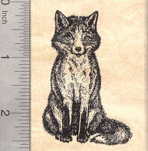 Red Fox Rubber Stamp, Wildlife