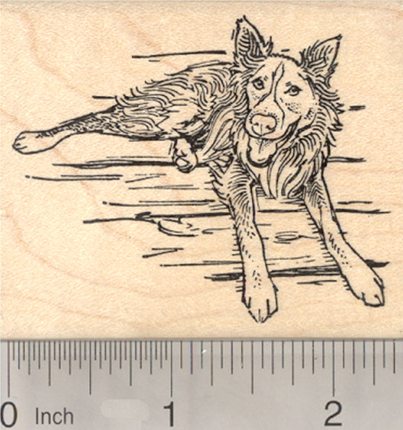 Cattle Dog Rubber Stamp