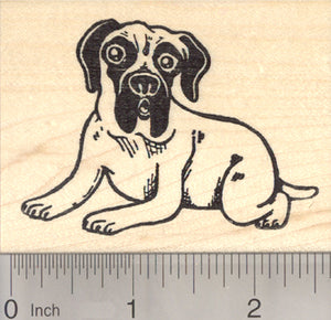 Mastiff Dog Rubber Stamp