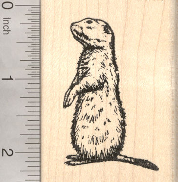 Prairie Dog Rubber Stamp