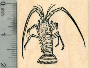 Florida Spiny Lobster Rubber Stamp, AKA Caribbean