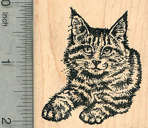 Maine Coon Cat Rubber Stamp