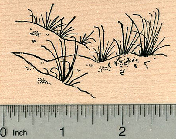 Dune Grass Rubber Stamp, Summer Beach Travel Series