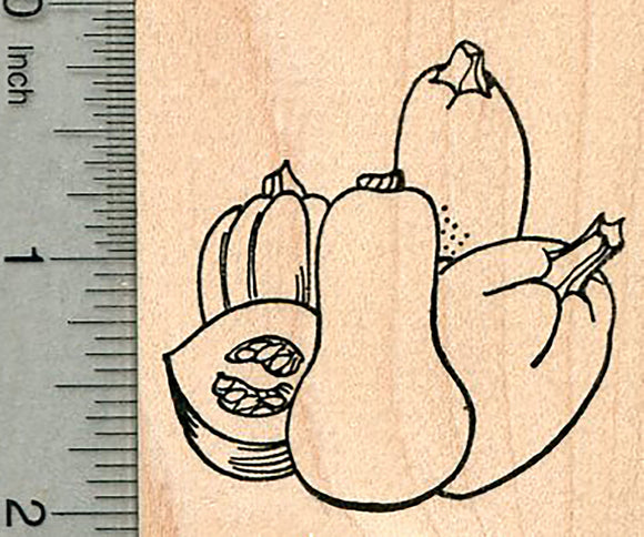 Autumn Gourds Rubber Stamp, Squash, Pumpkin, Fall Theme