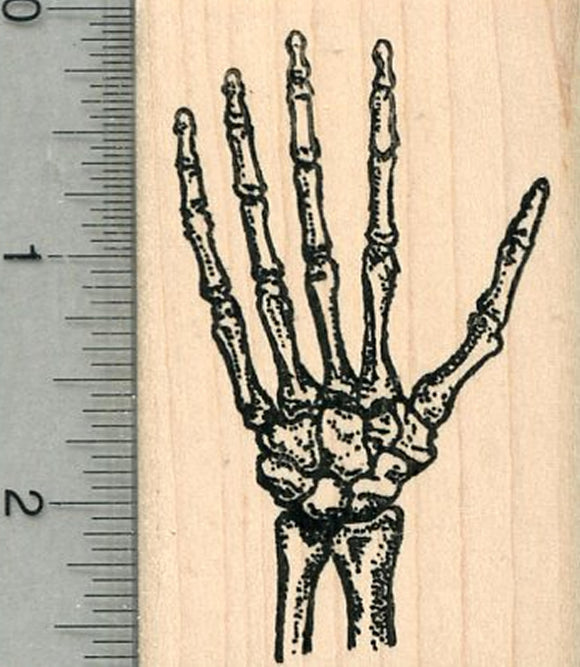 Skeletal Hand Rubber Stamp, Human Anatomy Biology Series