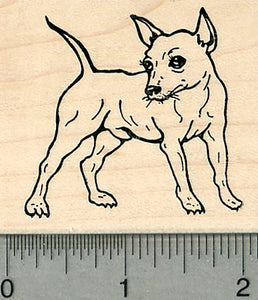 Chihuahua Dog Rubber Stamp, Standing