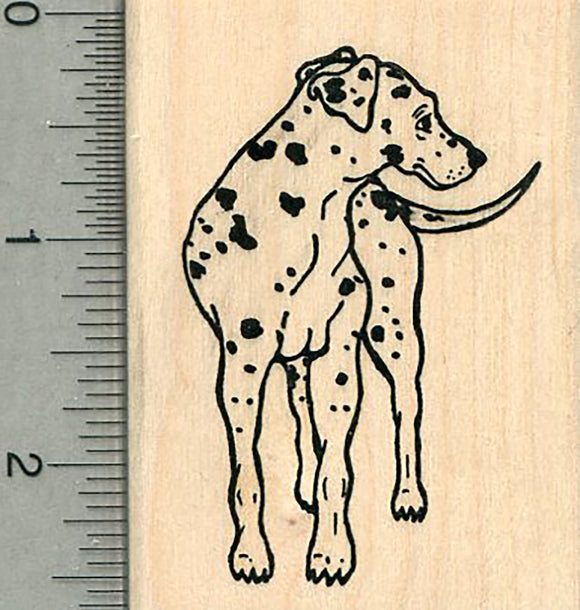 Dalmatian Dog Rubber Stamp