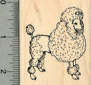 Poodle Rubber Stamp, Standing Dog