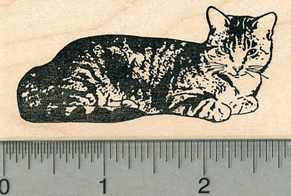 Cat Rubber Stamp, Shorthaired Kitty