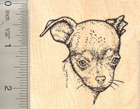 Chihuahua (Diva Belle) Rubber Stamp