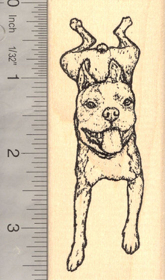 Boston Terrier Dog (Rusty) Rubber Stamp