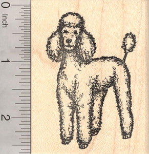 Poodle Dog Rubber Stamp