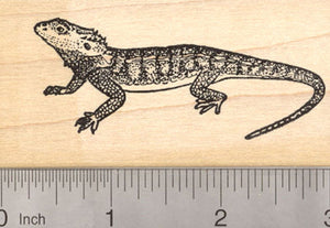Bearded Dragon Rubber Stamp, Pogona Reptile, Lizard of Australia