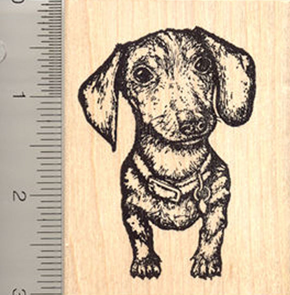Dachshund Dog Rubber Stamp, Beautiful Detailed and Realistic