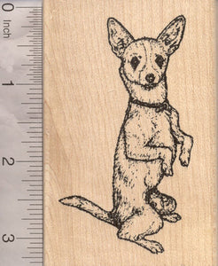 Chihuahua Dog Rubber Stamp, Begging Upright