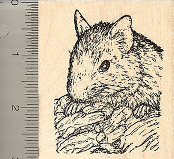 Degu Rubber Stamp, Brush-Tailed Rat