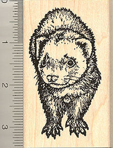Ferret Rubber Stamp, Detailed Pet Art