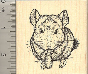 Chinchilla Rubber Stamp, Realistic Pet with Treat
