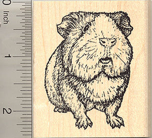 Guinea Pig Rubber Stamp, Realistic Cavy Art