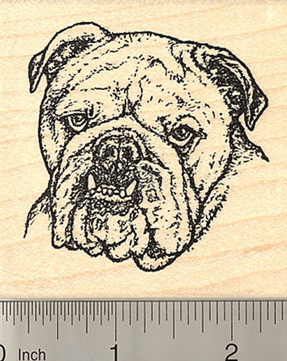 Bulldog Rubber Stamp, Realistic Bull Dog, Detailed Artwork