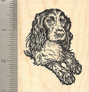 Black English Cocker Spaniel Rubber Stamp, Sporting Dog