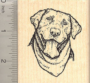 Labrador Retriever Rubber Stamp, Black Lab Dog