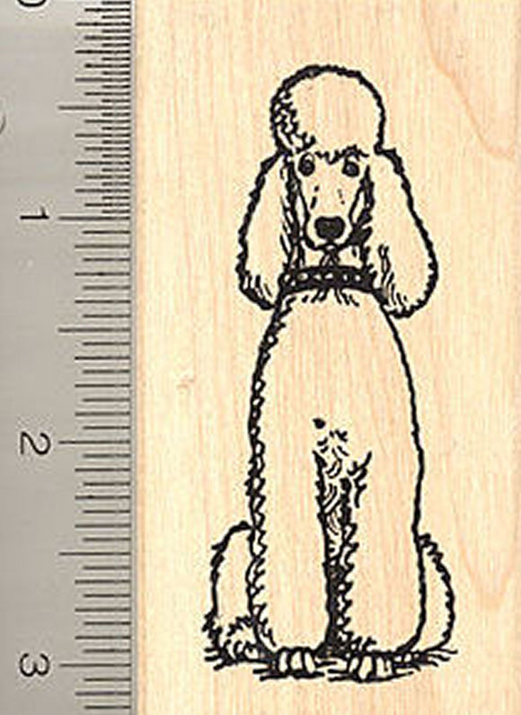 Standard Poodle Dog Rubber Stamp