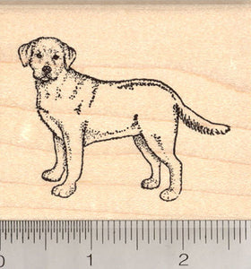 Labrador Retriever Dog Rubber Stamp, Yellow Lab
