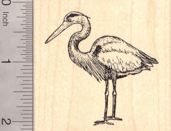 Great Blue Heron Rubber Stamp, Coastal Bird, Egret, Bittern