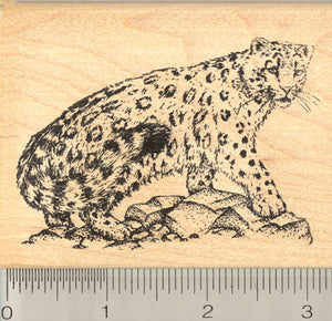 Snow Leopard Rubber Stamp, Endangered Big Cat of Central and South Asia, Pakistan