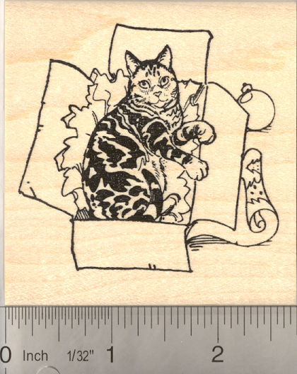 Christmas Kitty in Gift box Rubber Stamp