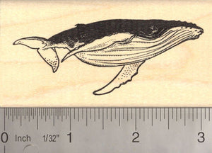 Humpback Whale (Baleen) Rubber Stamp